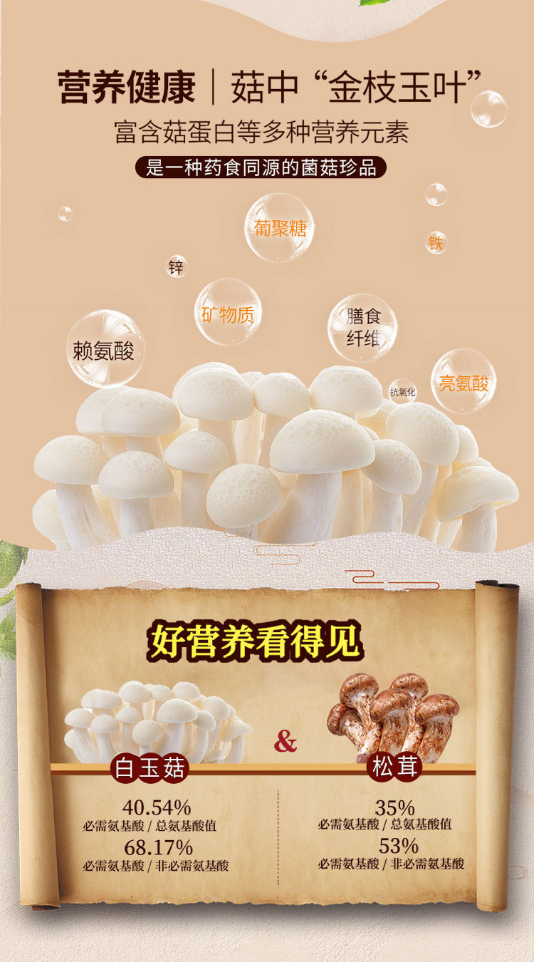 白玉菇