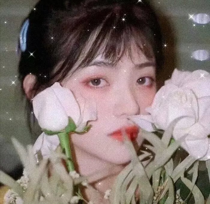 沙罗双树